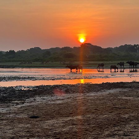 Kingfisher Beach Resort-Yala Kirinda  Exteriör bild