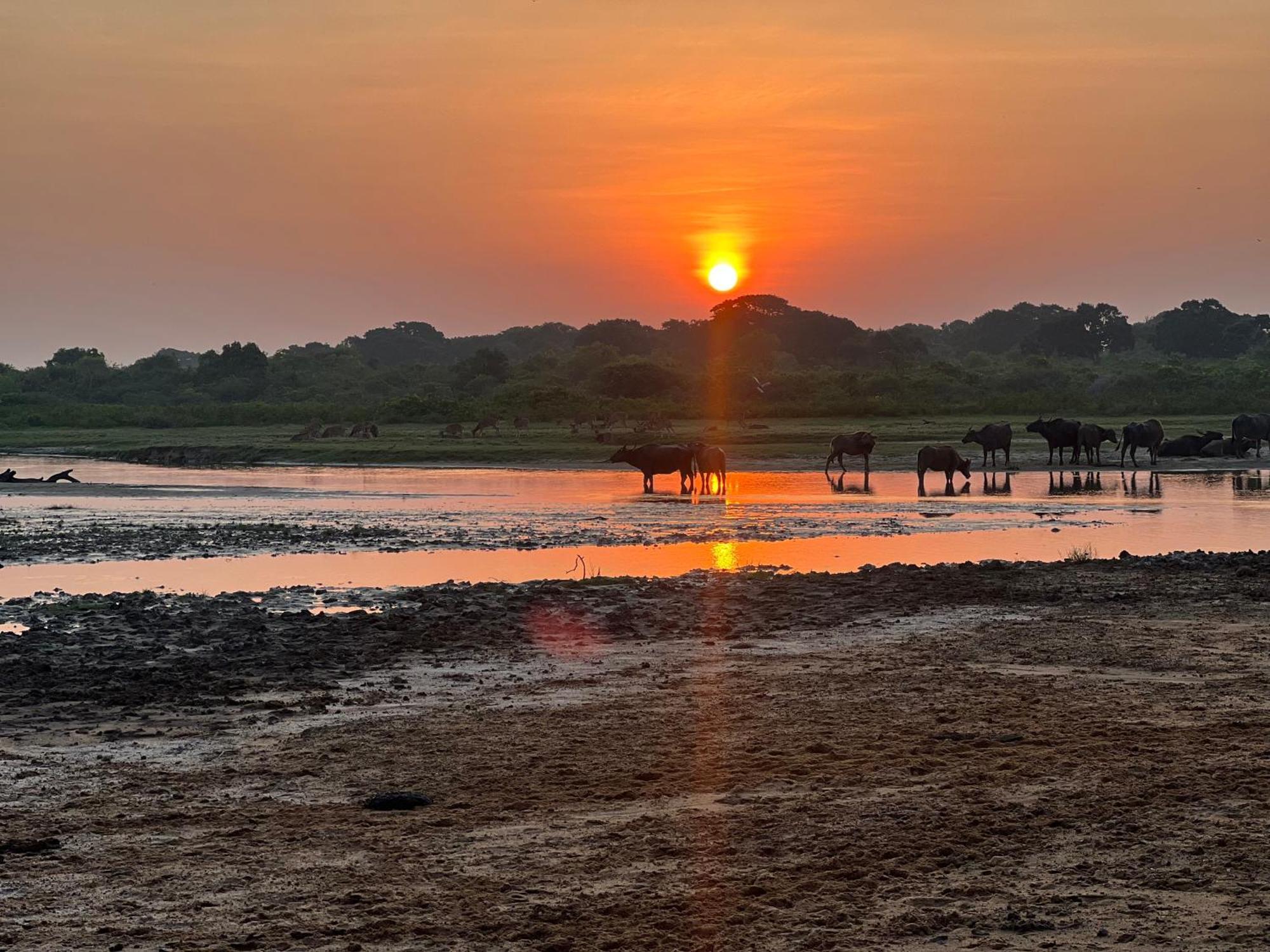 Kingfisher Beach Resort-Yala Kirinda  Exteriör bild